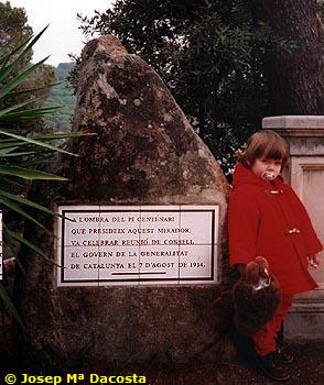 estela.jpg (38623 bytes)